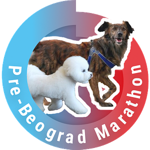 Pre-beogradski marathon 2024 parkrun 