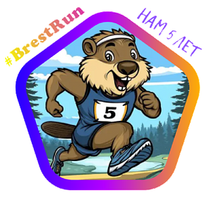 BrestRun 5 лет
